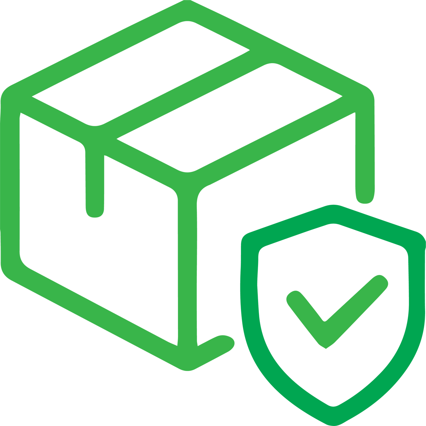 Shipping Protection (Cover if your item is damaged or lost in the post)